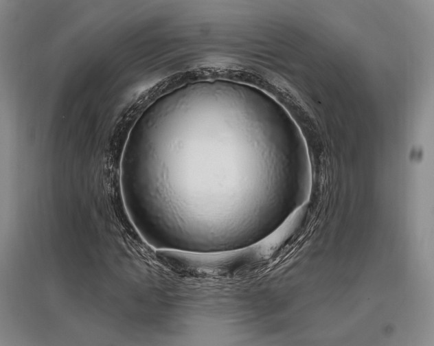 X0000097470822200802221234