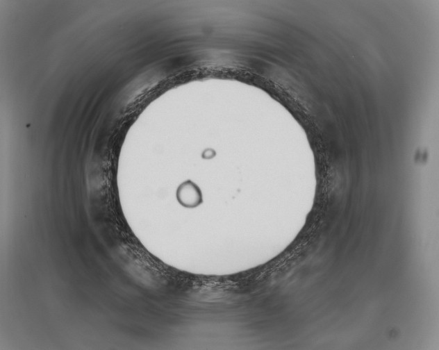 X0000097470824200802221234