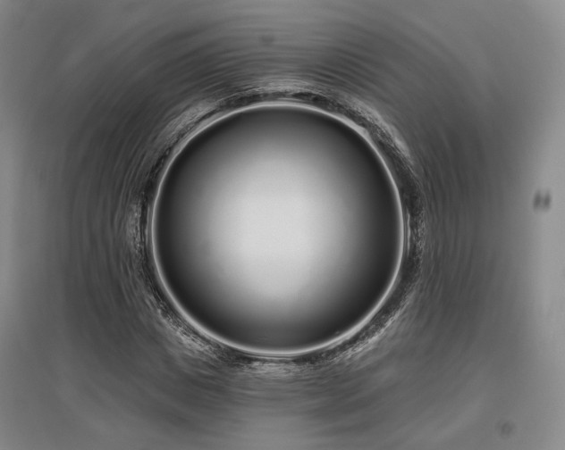 X0000097470825200802221234