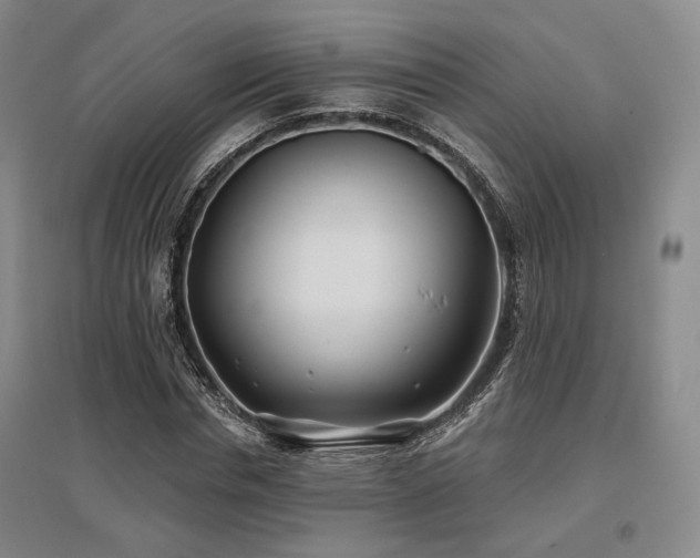X0000097470826200802221234