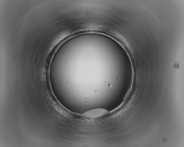 X0000097470827200802221234