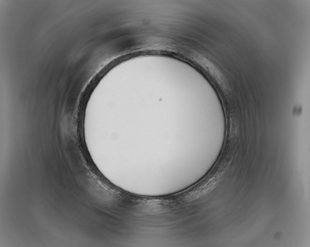 X0000097470828200802221234