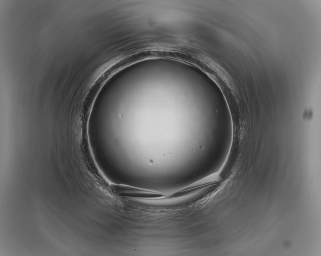X0000097470829200802221234