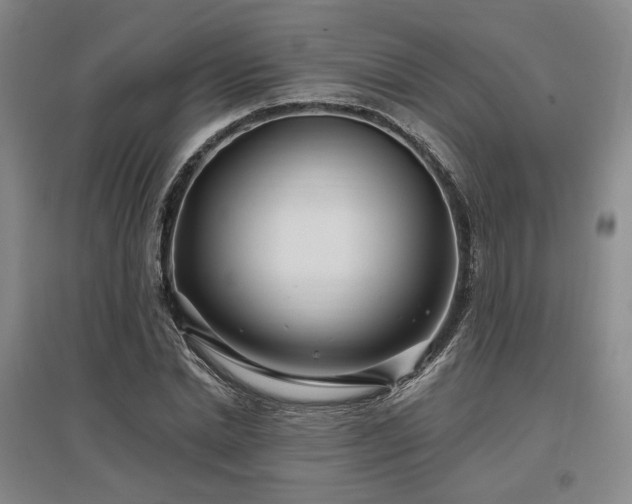 X0000097470830200802221234