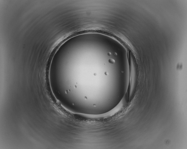 X0000097470834200802221234
