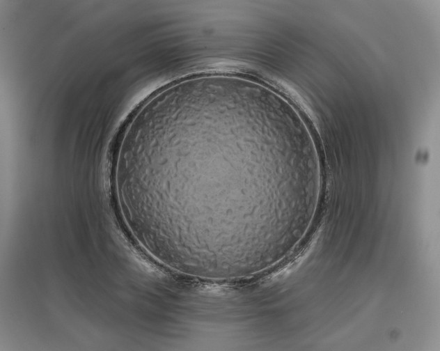 X0000097470835200802221234