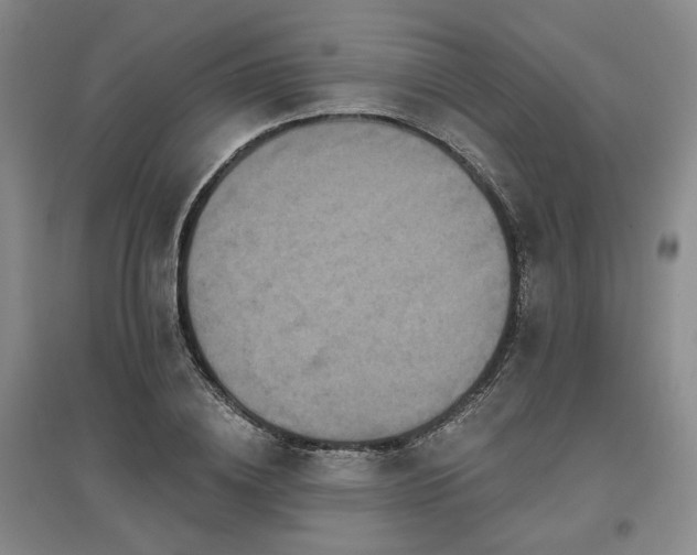 X0000097470836200802221234