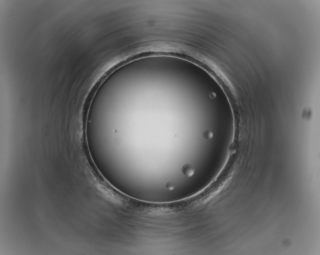 X0000097470837200802221234