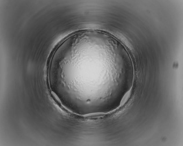 X0000097470839200802221234