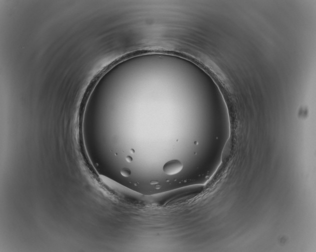 X0000097470840200802221234
