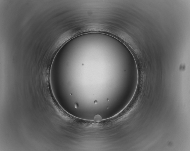 X0000097470841200802221234
