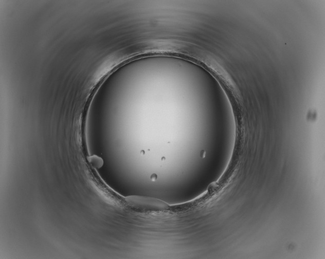 X0000097470842200802221234