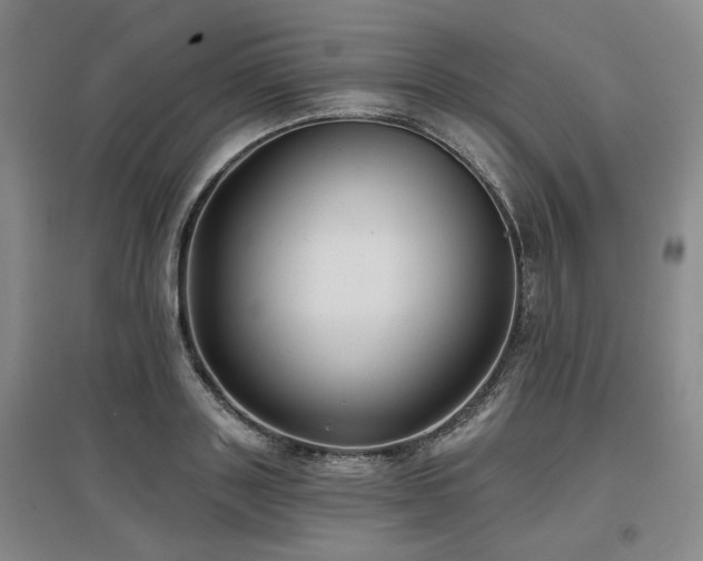 X0000097470843200802221234