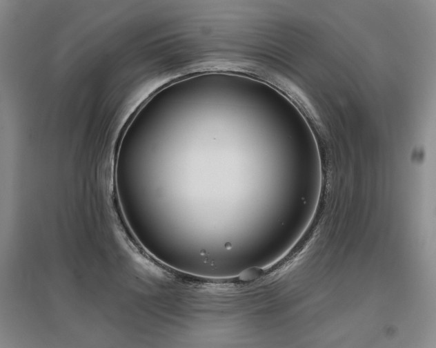 X0000097470844200802221234