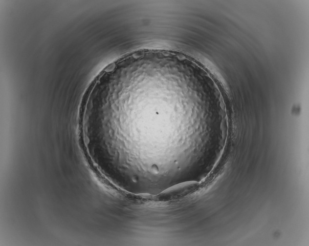 X0000097470845200802221234