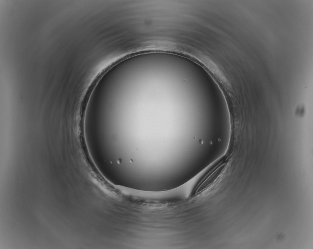X0000097470846200802221234