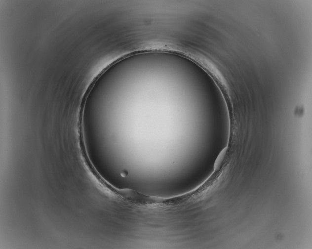 X0000097470847200802221234