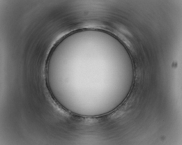 X0000097470848200802221234