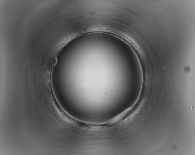X0000097470849200802221234