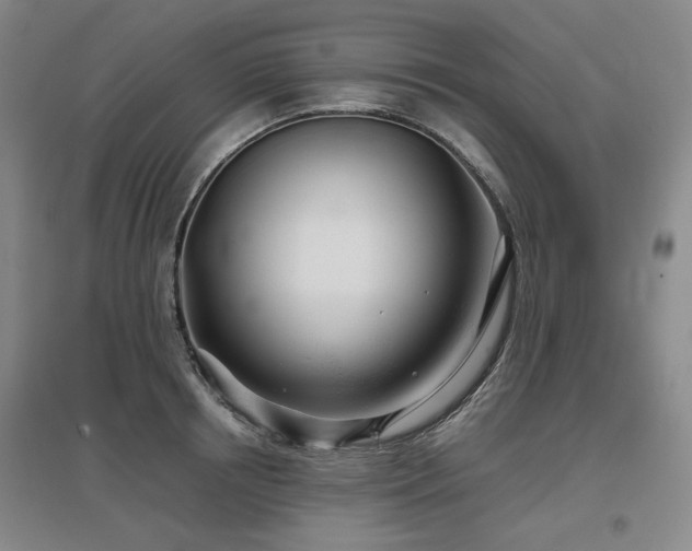 X0000097470850200802221234