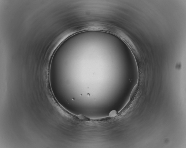 X0000097470852200802221234