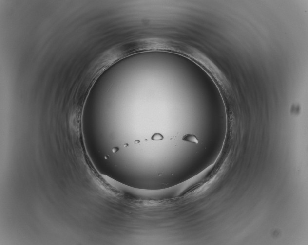 X0000097470857200802221234