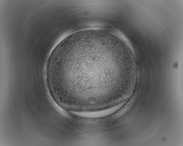 X0000097470859200802221234