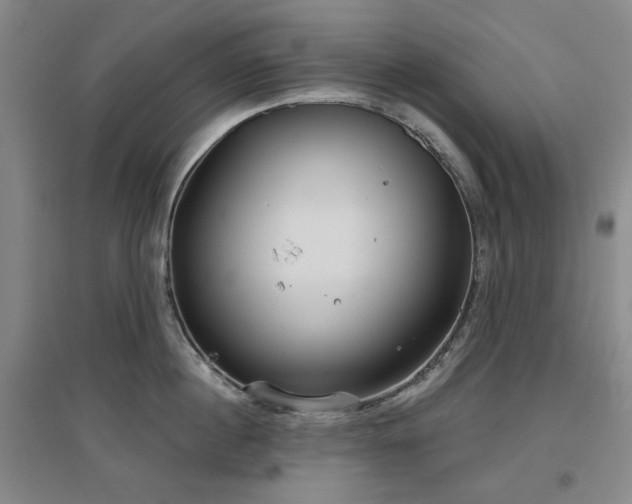 X0000097470860200802221234