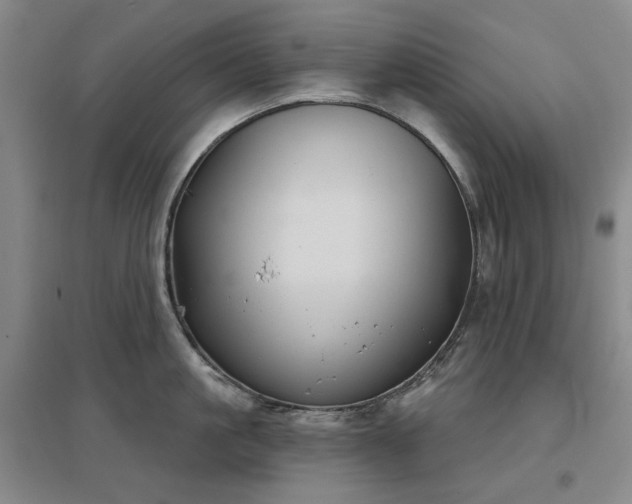 X0000097470861200802221234