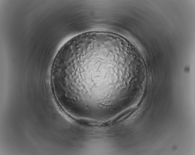 X0000097470862200802221234