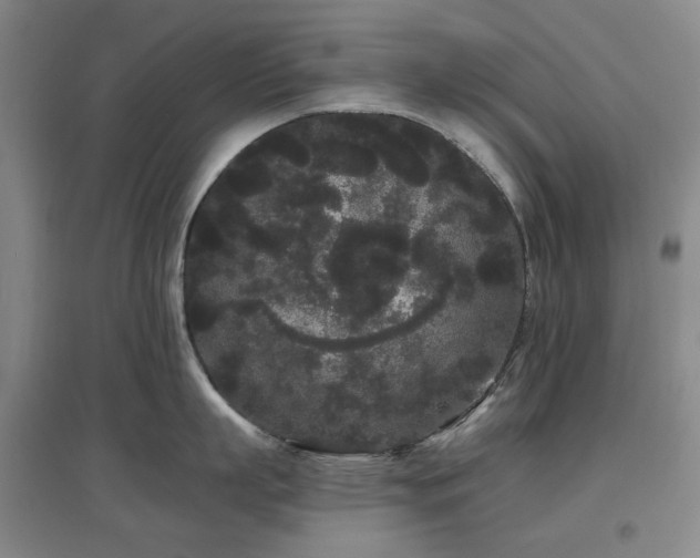 X0000097470863200802221234