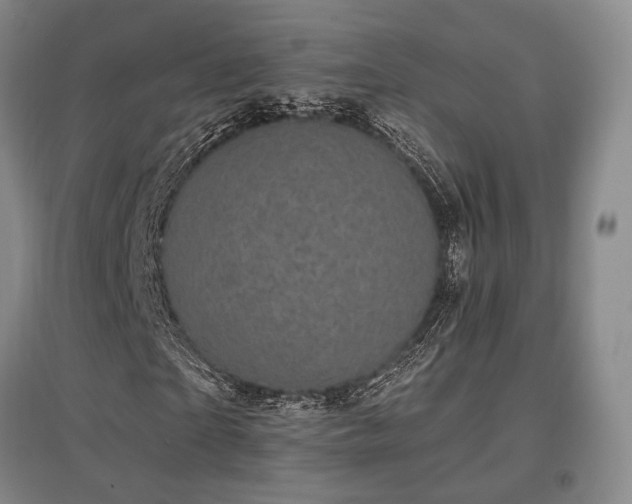 X0000097470865200802221234