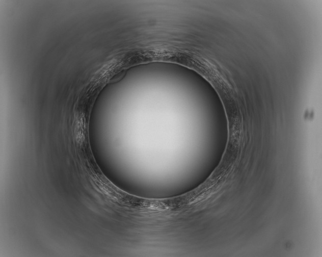 X0000097470866200802221234