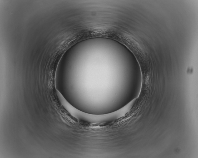 X0000097470868200802221234