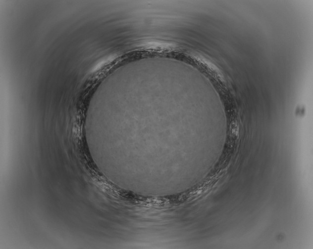 X0000097470869200802221234