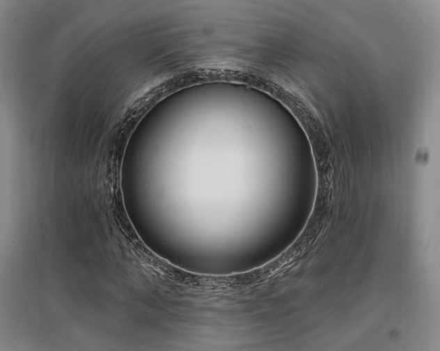 X0000097470870200802221233