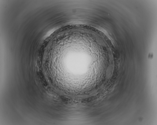 X0000097470871200802221233