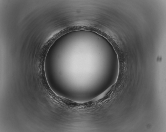 X0000097470872200802221233