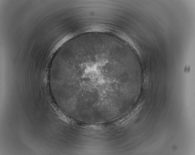 X0000097470874200802221233