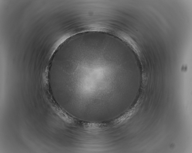 X0000097470875200802221233