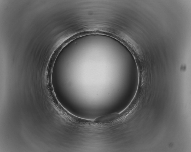 X0000097470876200802221233