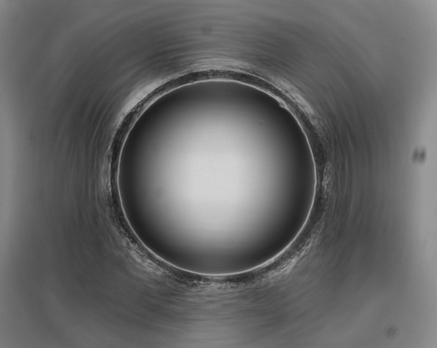 X0000097470877200802221233