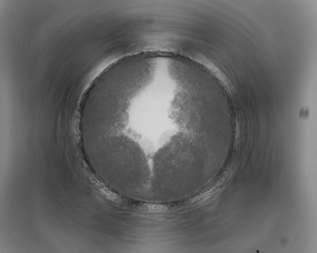 X0000097470878200802221233