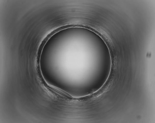 X0000097470880200802221233
