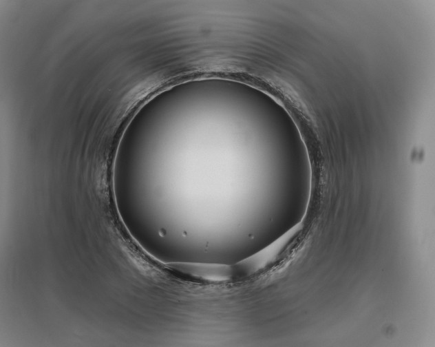 X0000097470881200802221233