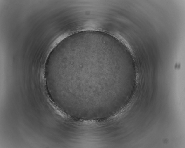 X0000097470882200802221233