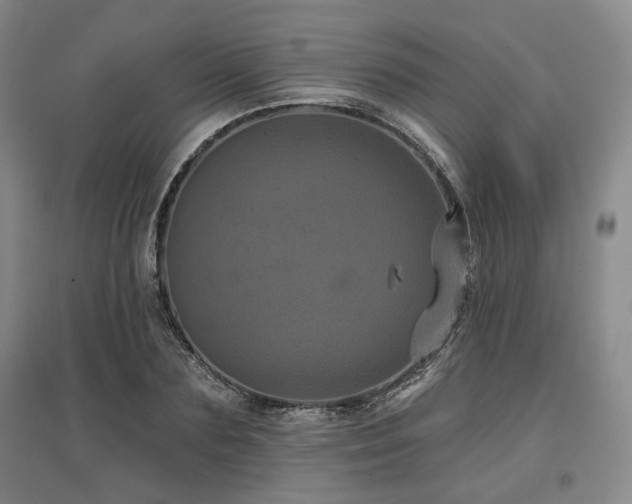 X0000097470883200802221233