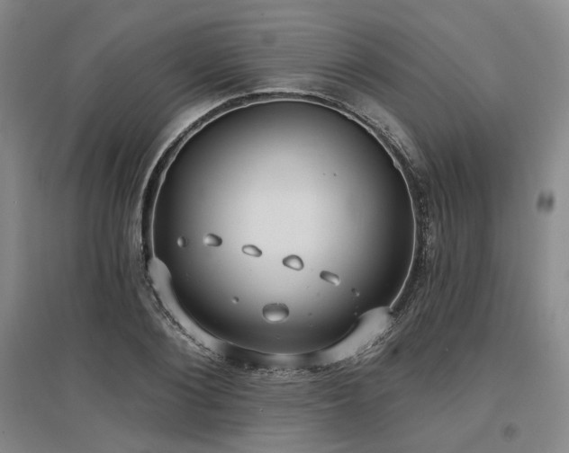 X0000097470884200802221233