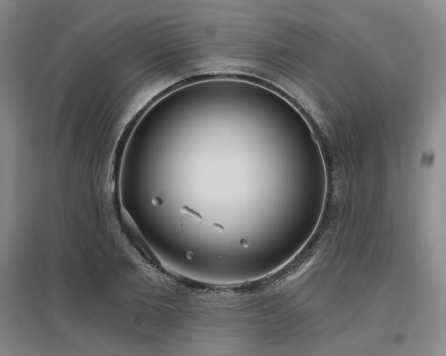 X0000097470885200802221233