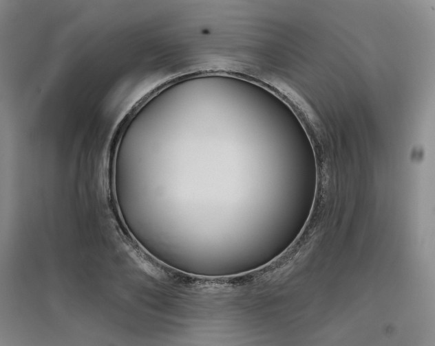 X0000097470886200802221233